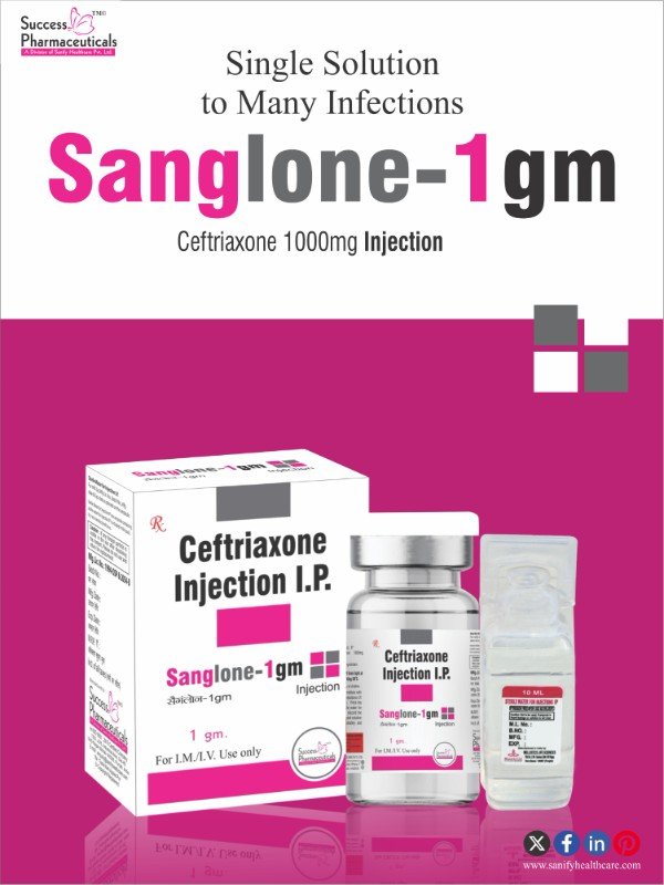 SANGlone-1GM